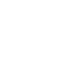 chess-icon