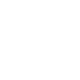 chess-icon