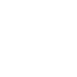chess-icon