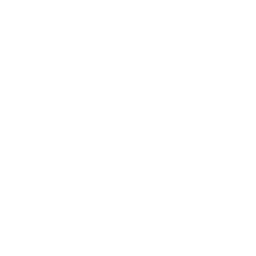 chess-icon
